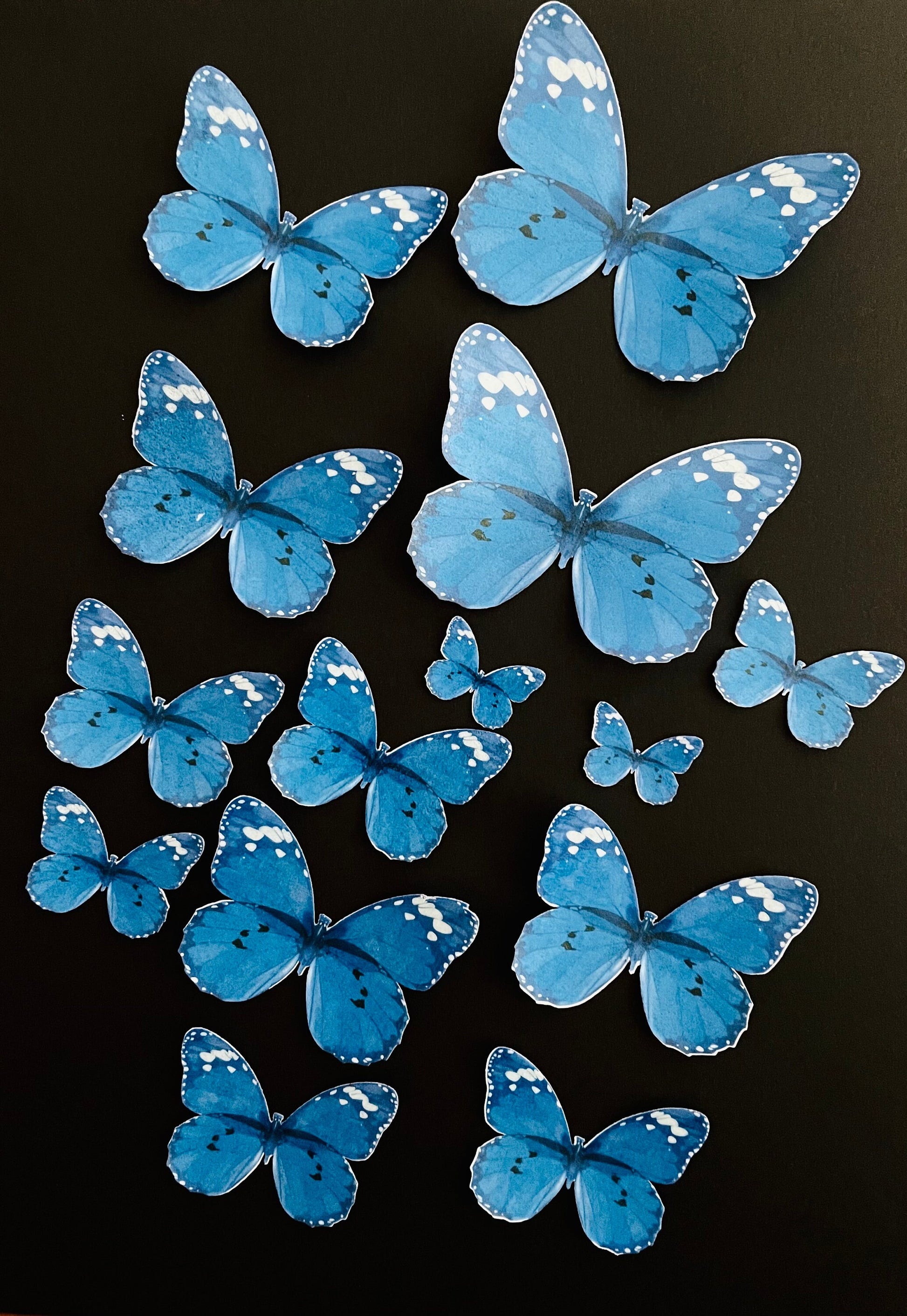 Electric blue Edible Pre-Cut 3D Wafer Paper Butterflies - Multi-Sized Edible Butterflies