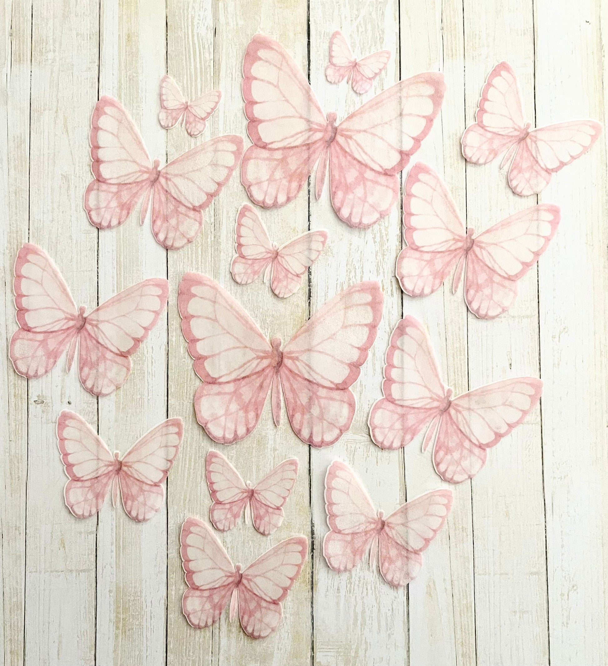 Light Pink Scallopped Edible Pre-Cut 3D Wafer Paper Butterflies - Multi-Sized Edible Butterflies