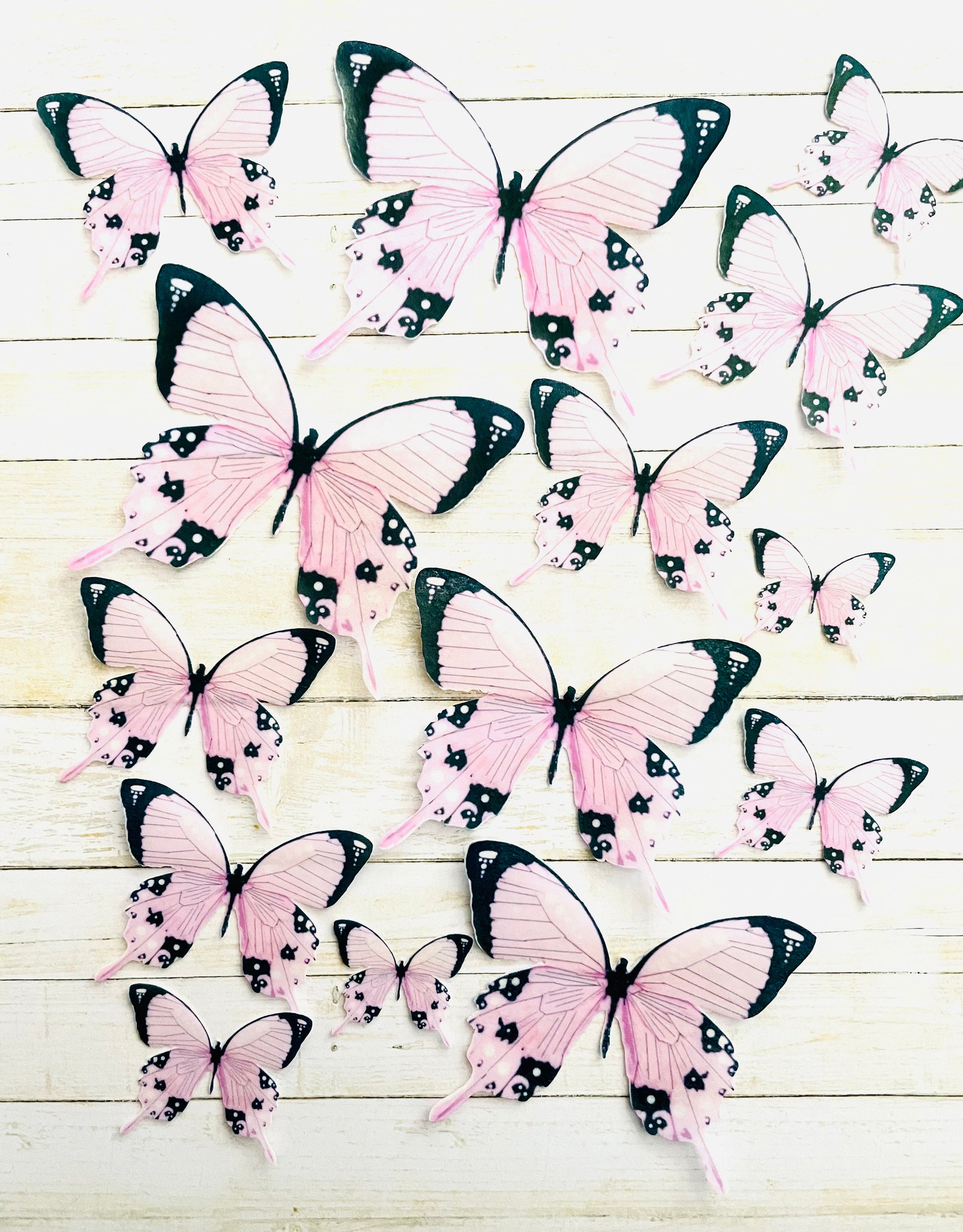 Hot Pink w/blk tip Edible Pre-Cut 3D Wafer Paper Butterflies - Multi Sized Edible Butterflies