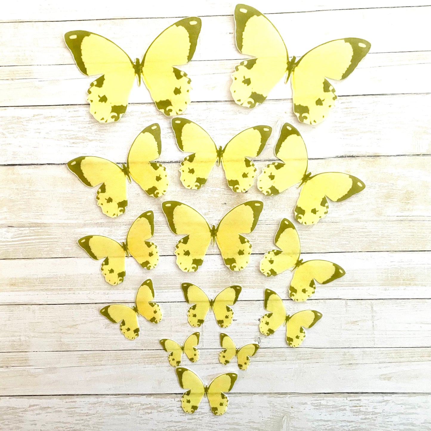 Yellow w/brown edge Edible Pre-Cut 3D Wafer Paper Butterflies Multi Sized Edible Butterflies