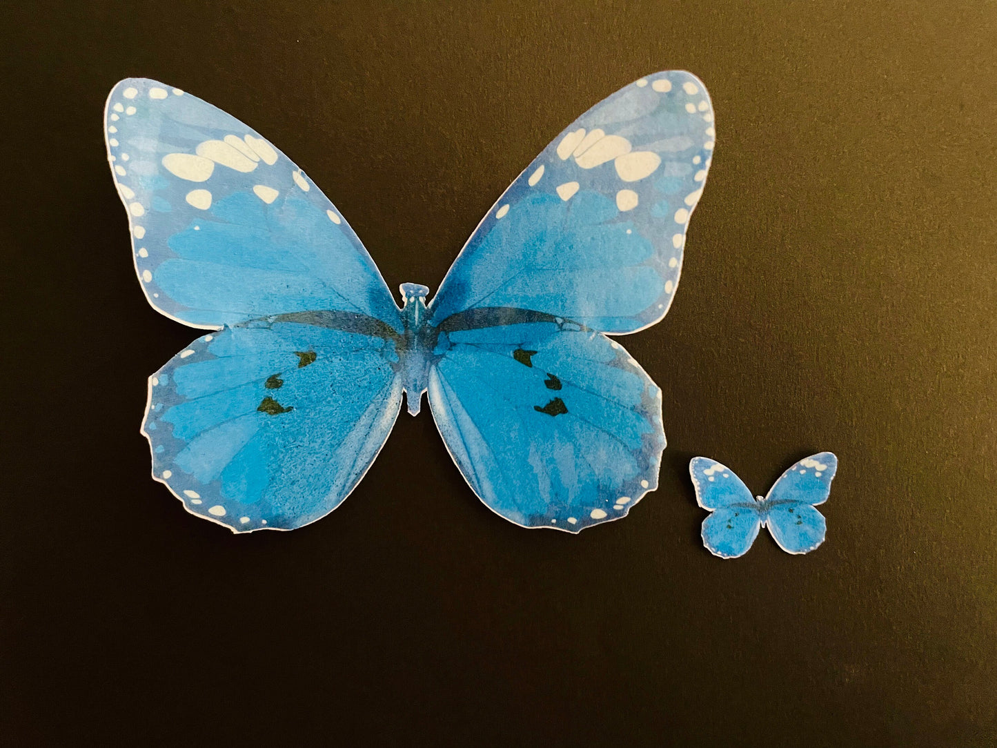 Electric blue Edible Pre-Cut 3D Wafer Paper Butterflies - Multi-Sized Edible Butterflies