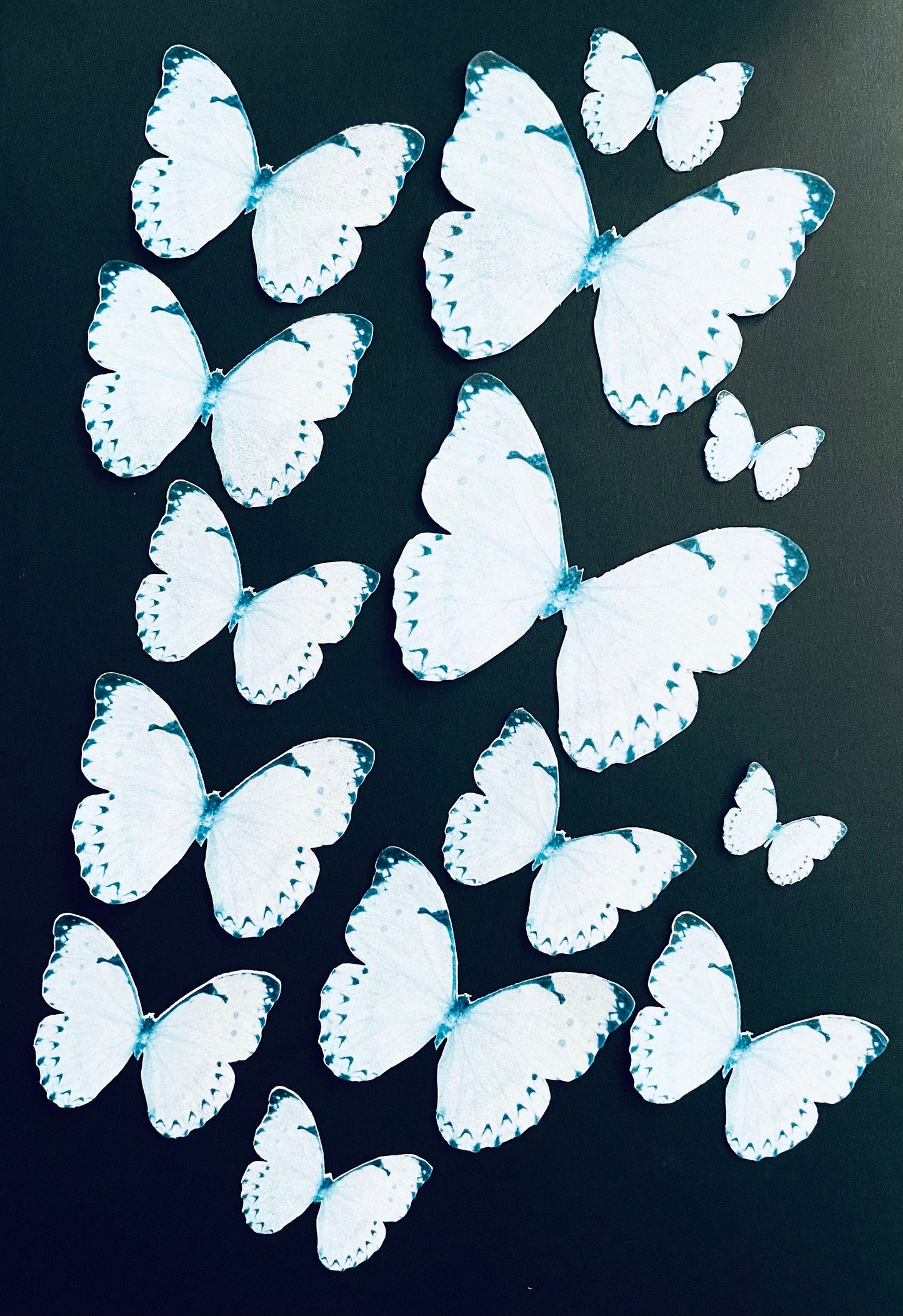 Periwinkle Blue Edible Pre-Cut 3D Wafer Paper Butterflies - Multi-Sized Edible Butterflies