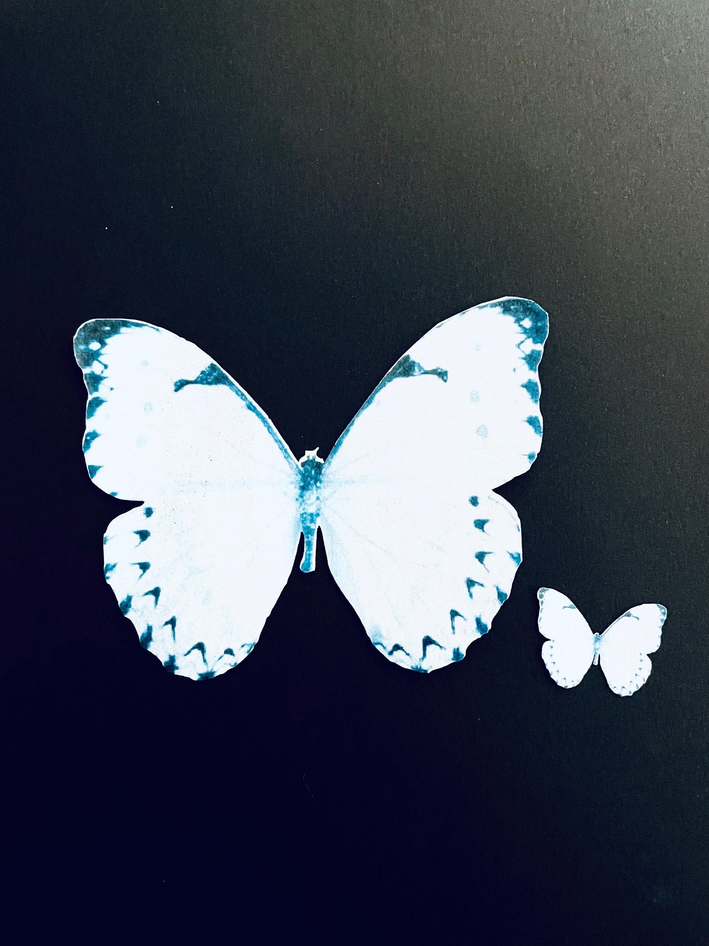 Periwinkle Blue Edible Pre-Cut 3D Wafer Paper Butterflies - Multi-Sized Edible Butterflies