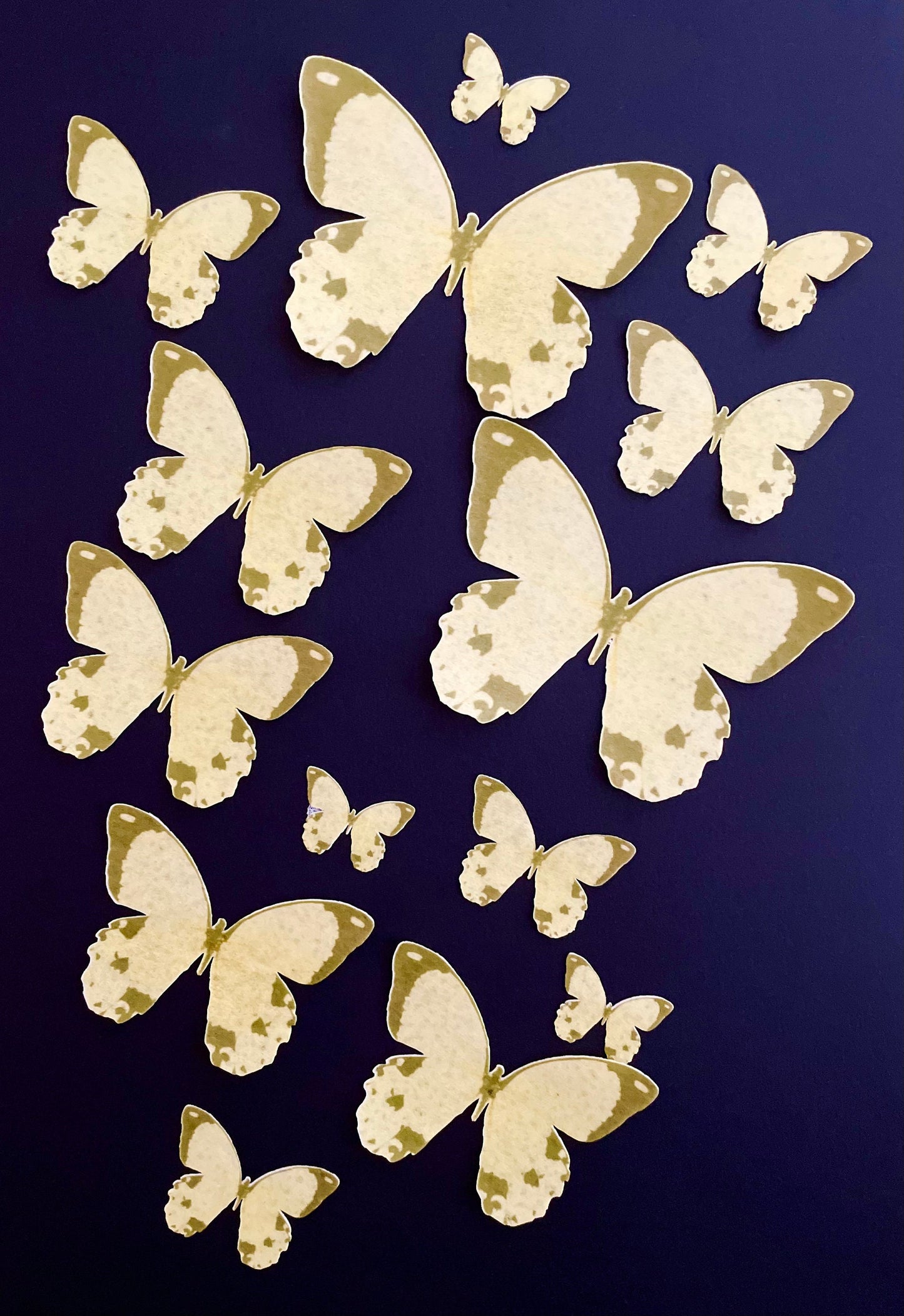 Yellow w/brown edge Edible Pre-Cut 3D Wafer Paper Butterflies Multi Sized Edible Butterflies