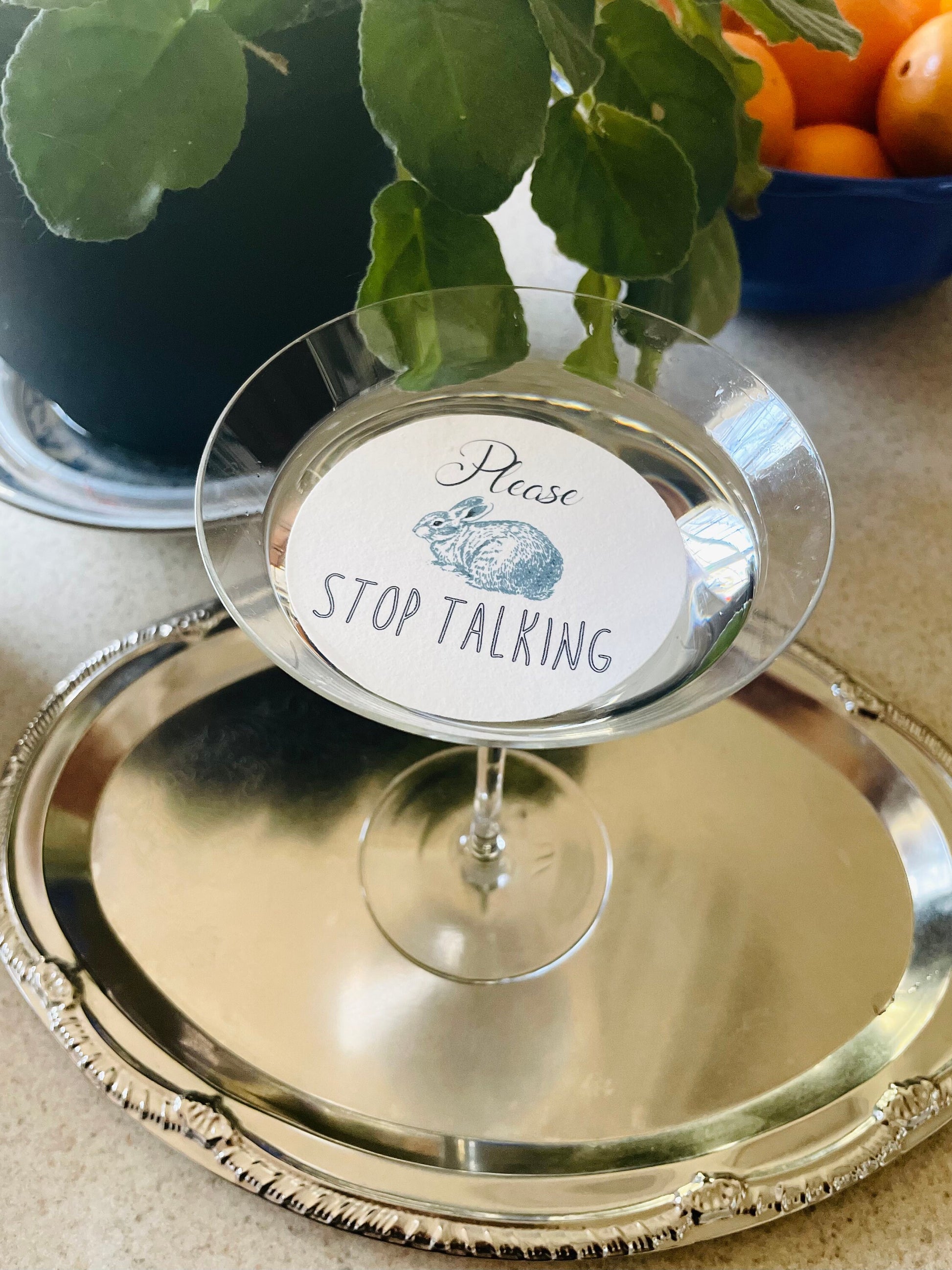 Please Stop Talking - Whimsical Custom Edible Bar Cocktail Drink Toppers, 2 sizes