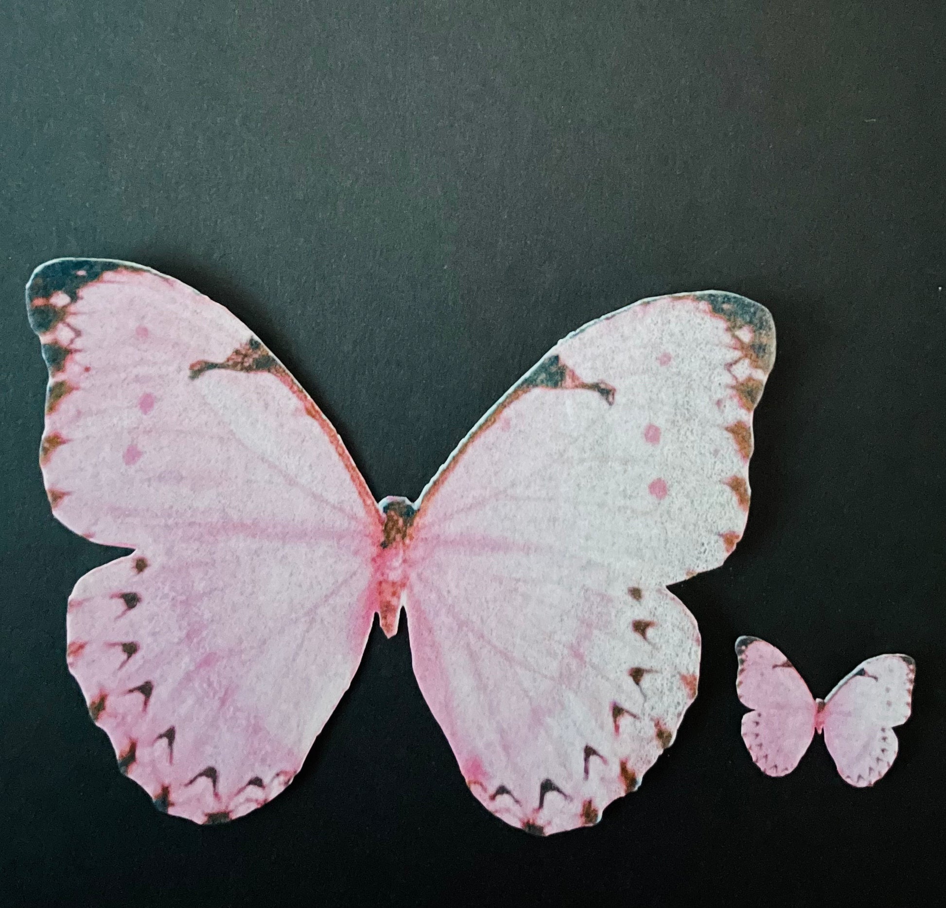 Hot pink Edible Pre-Cut 3D Wafer Paper Butterflies - Multi-Sized Edible Butterflies