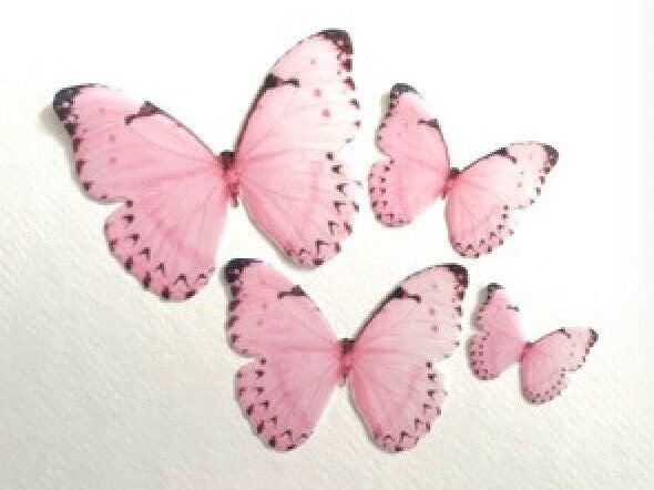 Hot pink Edible Pre-Cut 3D Wafer Paper Butterflies - Multi-Sized Edible Butterflies