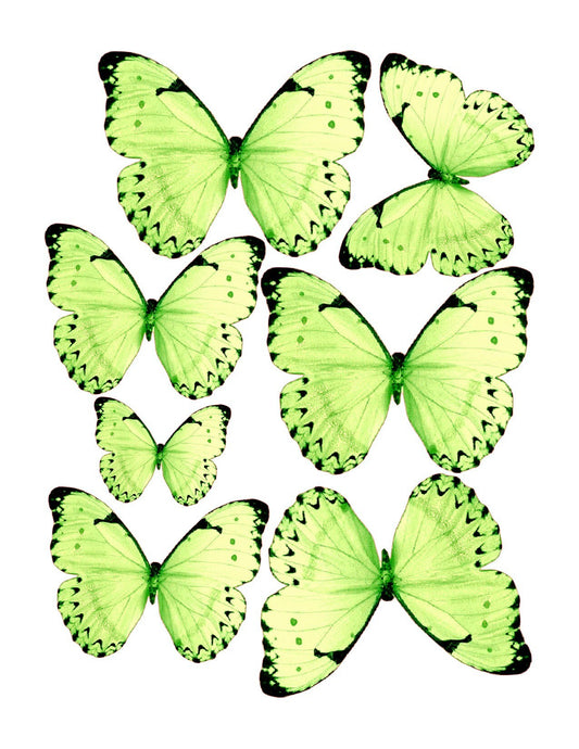 Spring Green Edible Pre-Cut 3D Wafer Paper Butterflies - Multi-Sized Edible Butterflies for cake decoration