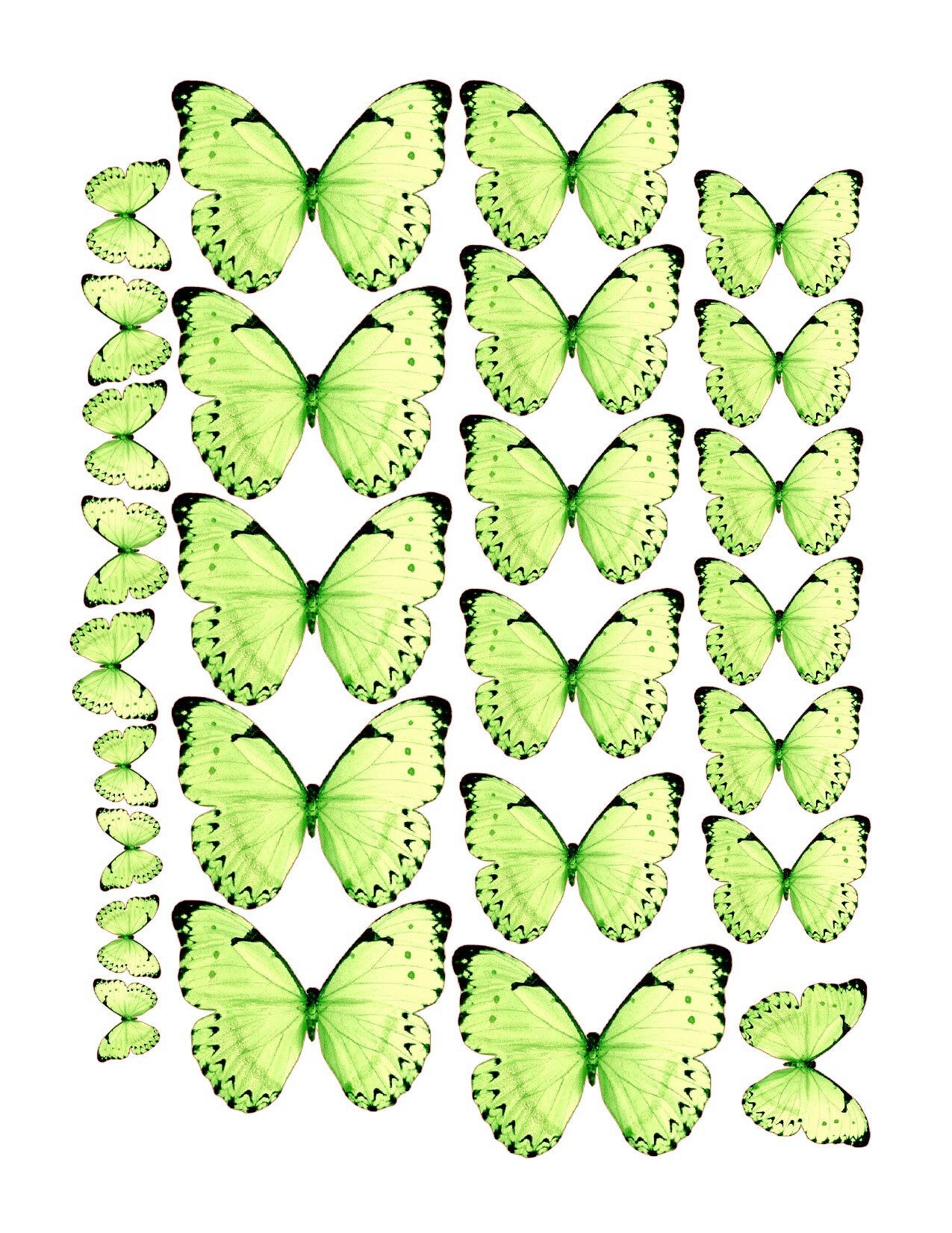 Spring Green Edible Pre-Cut 3D Wafer Paper Butterflies - Multi-Sized Edible Butterflies for cake decoration