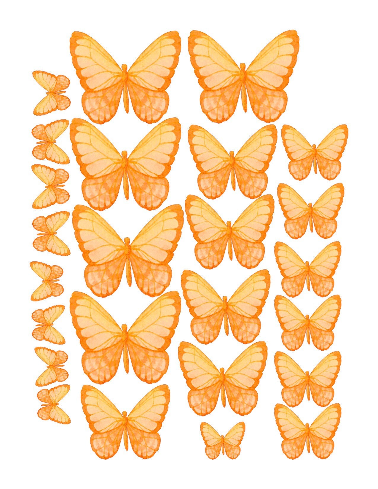 Orange sweet Edible Pre-Cut 3D Wafer Paper Butterflies - Multi-Sized Edible Butterflies cake decoration